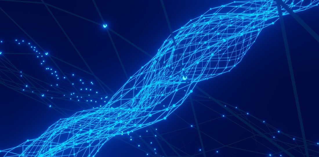 Nervous system network